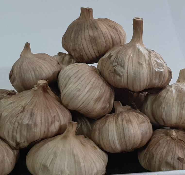 تصویر 1 از سیر سیاه همدان با کیفیت یکنواخت و بسته بندی استاندارد